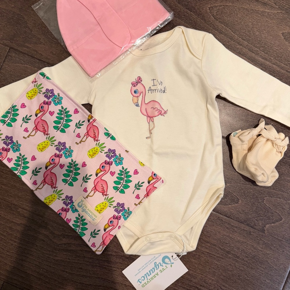 Flamingo Baby Onesie Set